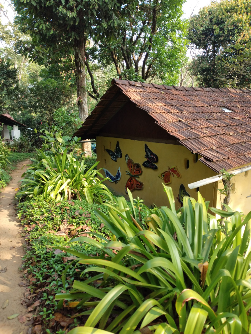 photo of Tent