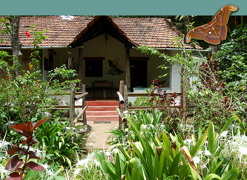 photo of Atlas cottage