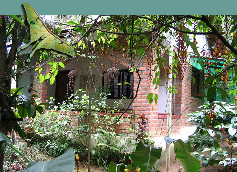 photo of Luna cottage