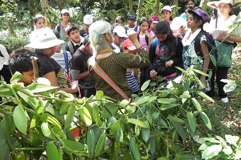 Plantation Tour