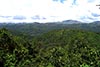 Local scenery