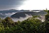 Misty mornings