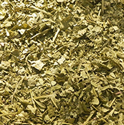 Camellia Green Tea